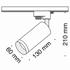 Трековый светильник Maytoni Track lamps TR004-1-GU10-MG фото