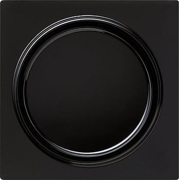 065047 Накладка светорегулятора Черный Gira S-color фото