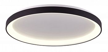 Накладной потолочный светильник 400, 30 Вт 3000/4000 K, черный Deko-Light Merope 348187 фото
