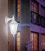 Настенный фонарь уличный Laterna 5 22462 Eglo фото